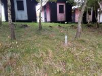 IMG_20220926_094337 (800x600).jpg